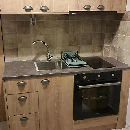 Larry's Little Place In The Center Of Apartment
