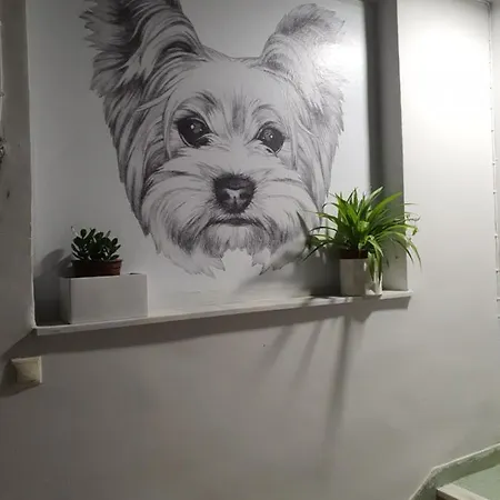 דירה Larry's Little Place In The Center Of גיתיו