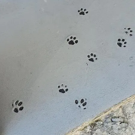 Larry's Little Place In The Center Of דירה