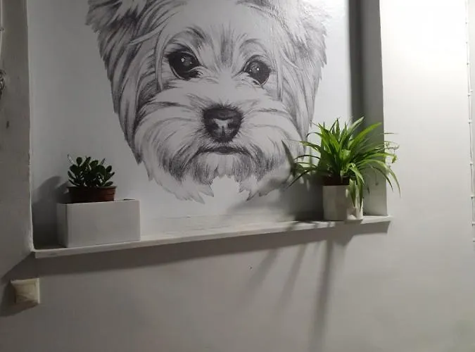 Apartment Larry's Little Place In The Center Of Gythio