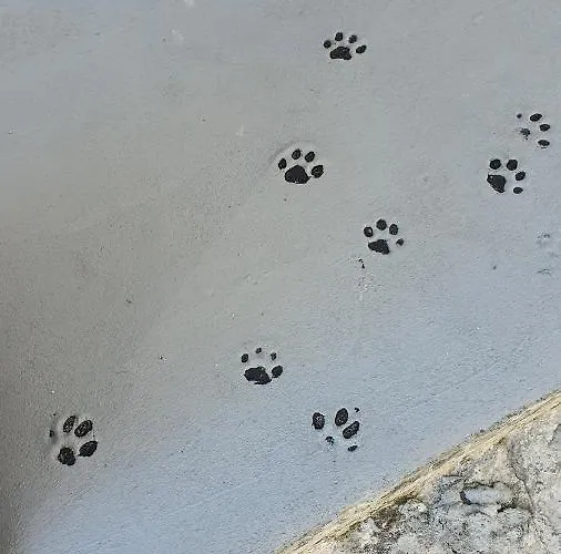 Larry's Little Place In The Center Of Апартаменты