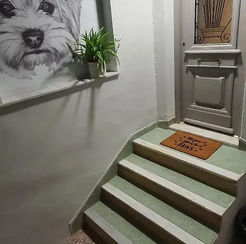 Larry's Little Place In The Center Of Apartment